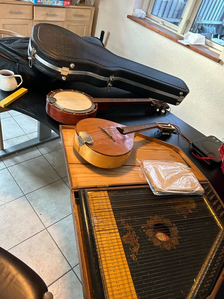 Zither guitar, Dansk Columbia 1170