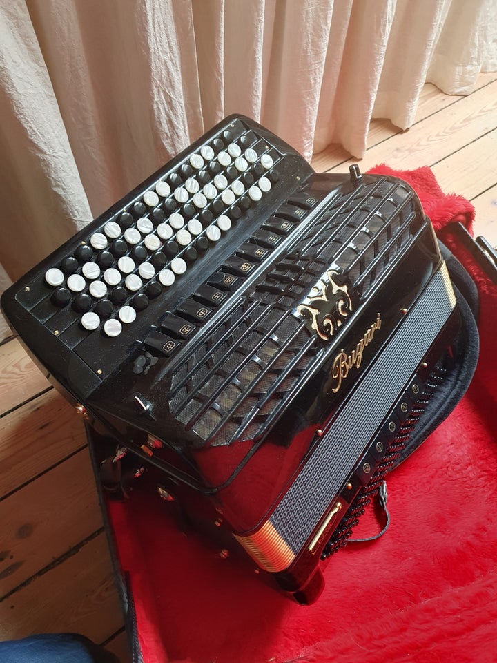 Knapharmonika, Bugari 502/Gold