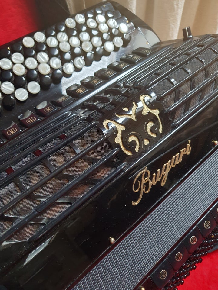 Knapharmonika, Bugari 502/Gold