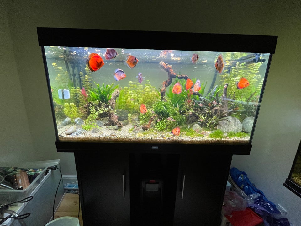 Akvarium 350 liter