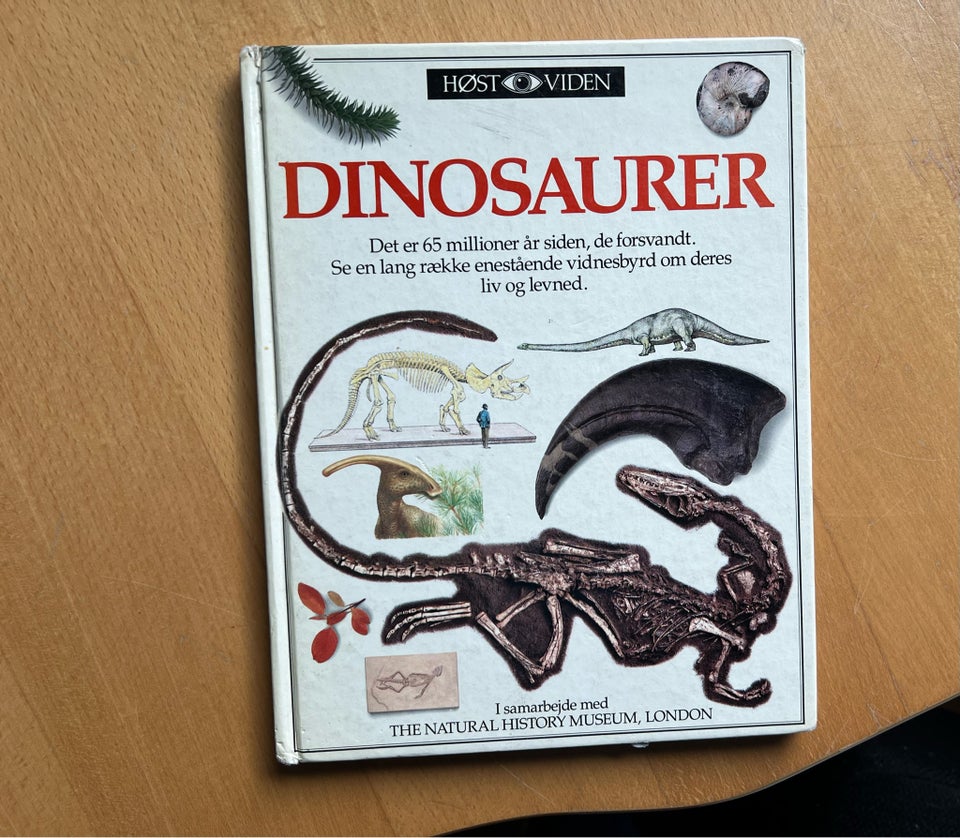 Dinosaurer  Høst viden