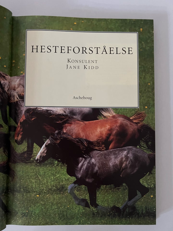 Hesteforståelse, Jane Kidd