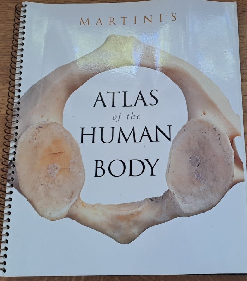 Anatomi of the Human Body Martini