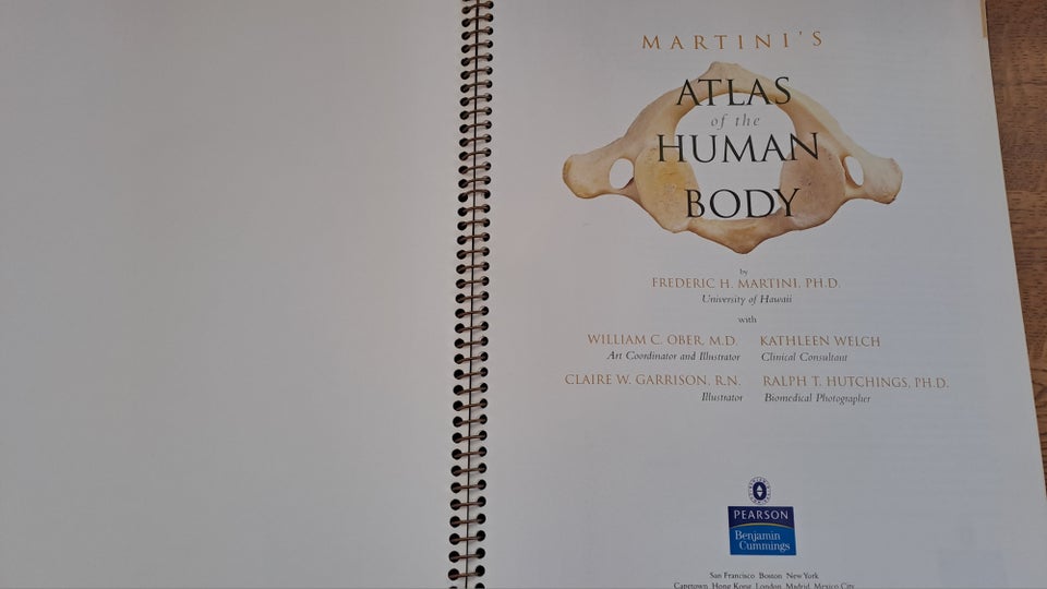 Anatomi of the Human Body Martini