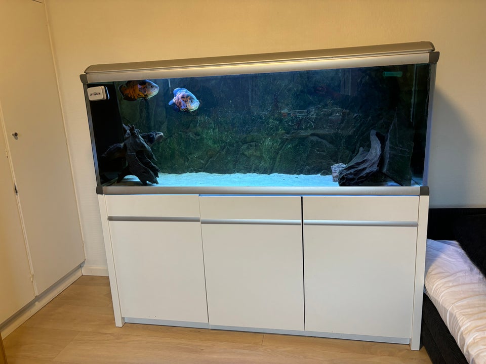 Akvarium, 528 liter, b: 160 d: 54 h: