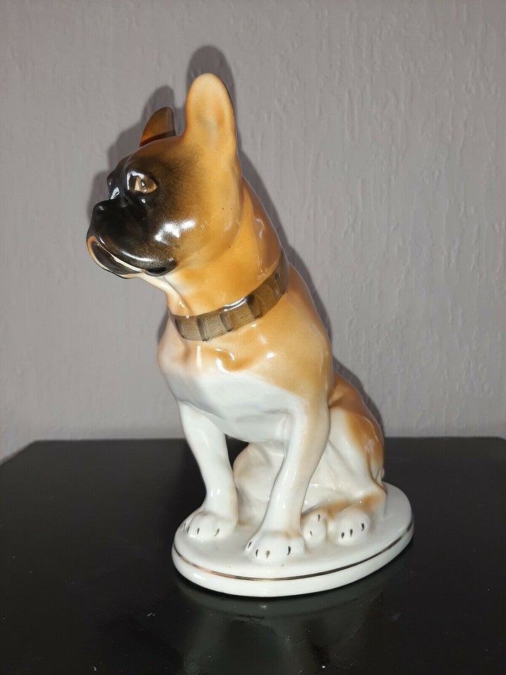 USSR lomonosov boxer / Bull dog