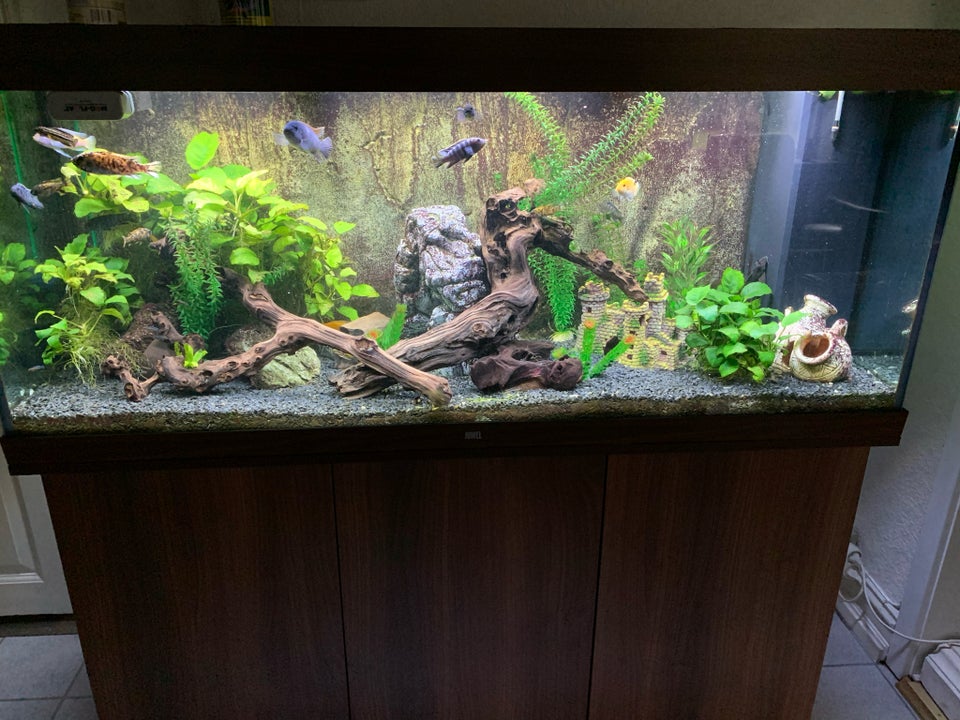 Akvarium, 1 stk.