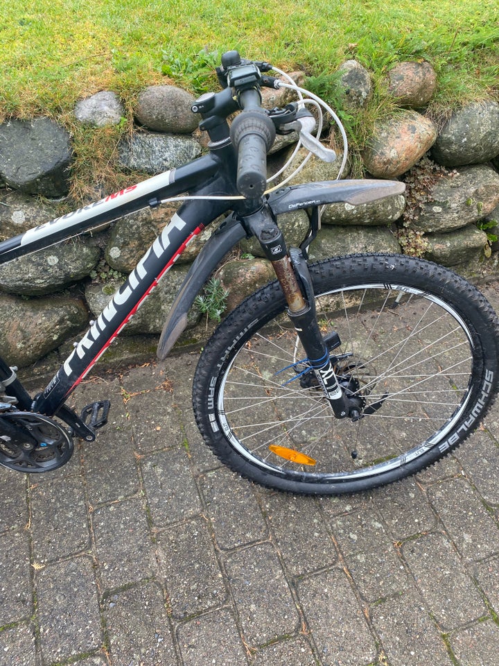 Principia Evoke MS, hardtail, 17