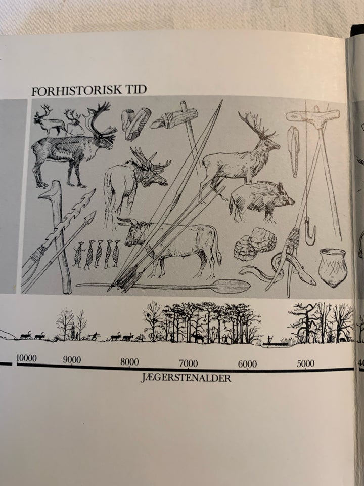 Fortidens spor i Århusskovene ,