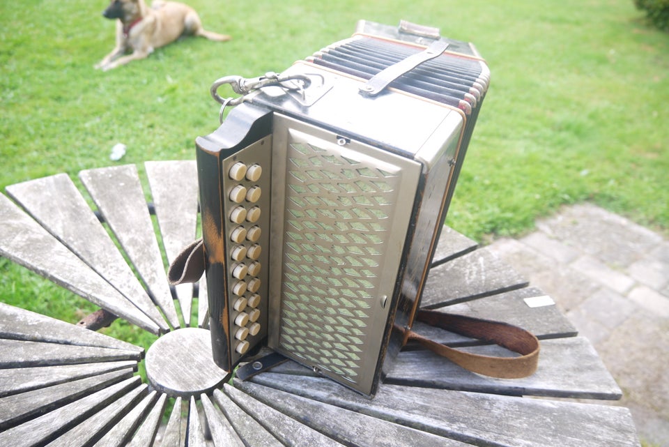 Knapharmonika, Hohner