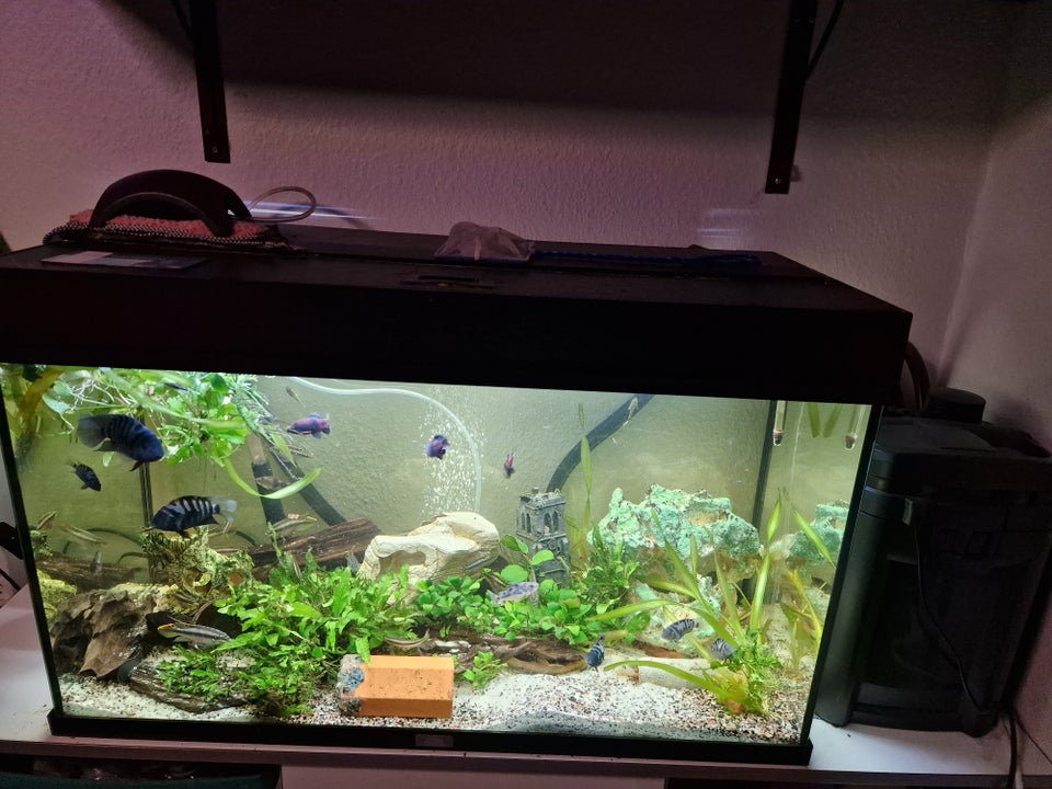 Akvarium, 120 liter, b: 80 d: 35 h: 50