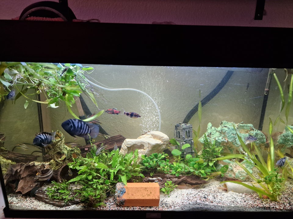 Akvarium, 120 liter, b: 80 d: 35 h: 50