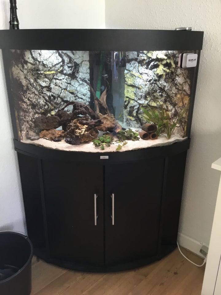 Akvarium 190 liter b: 98 d: 70 h: 60