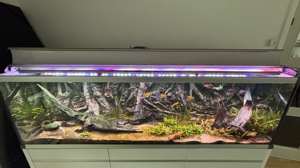 Akvarium, 720 liter, b: 200 d: 60 h: