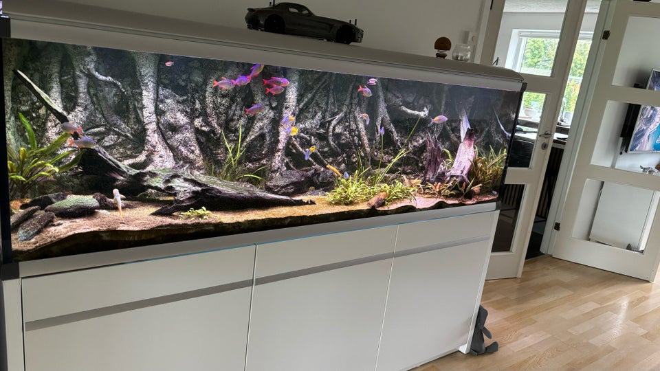 Akvarium, 720 liter, b: 200 d: 60 h: