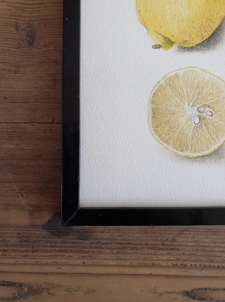 Tryk Citron - Citrus limon motiv: