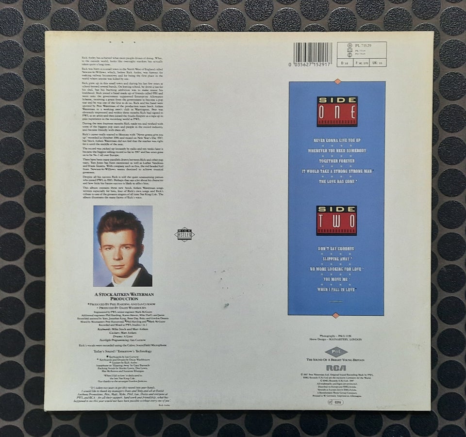 LP, Rick Astley, Whenever You Need