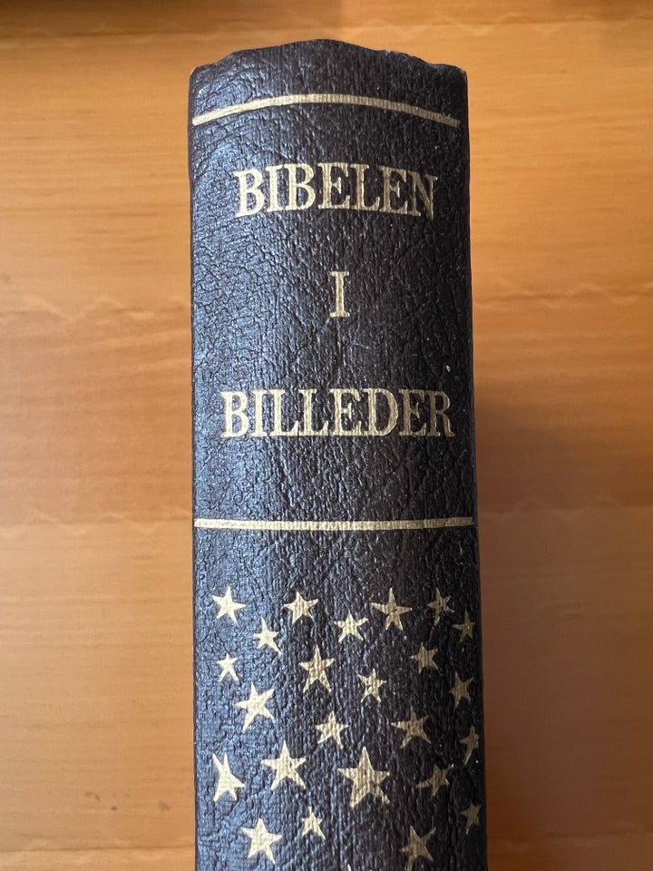 Bibelen i billeder, emne: kunst og