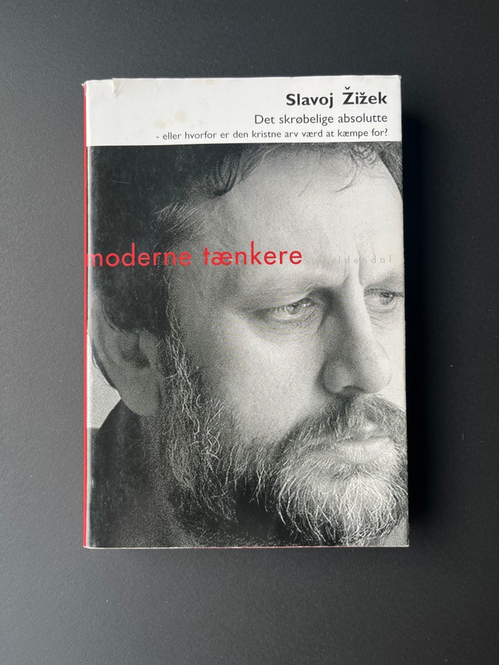 Det skrøbelige absolutte, Slavoj