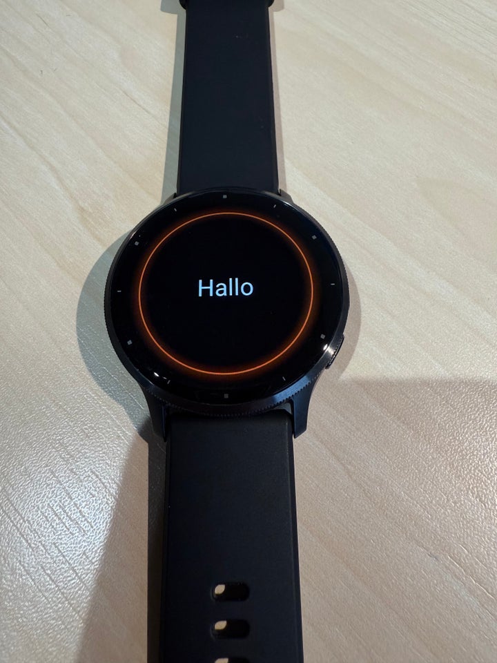 Smartwatch, Garmin