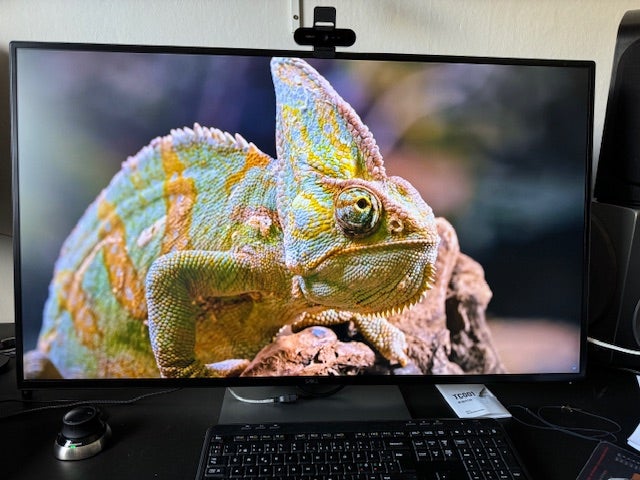 Dell U4320Q Perfekt