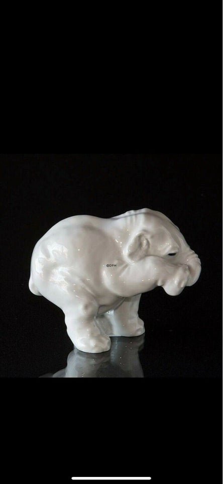 ELEFANT KNUD KYHN