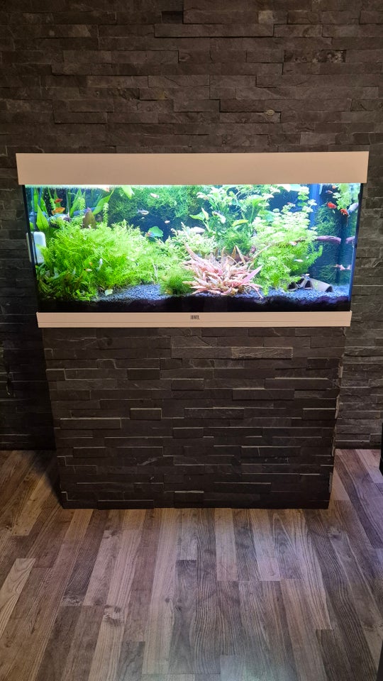 Akvarium, 180 liter