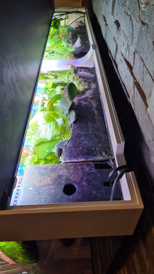 Akvarium, 180 liter