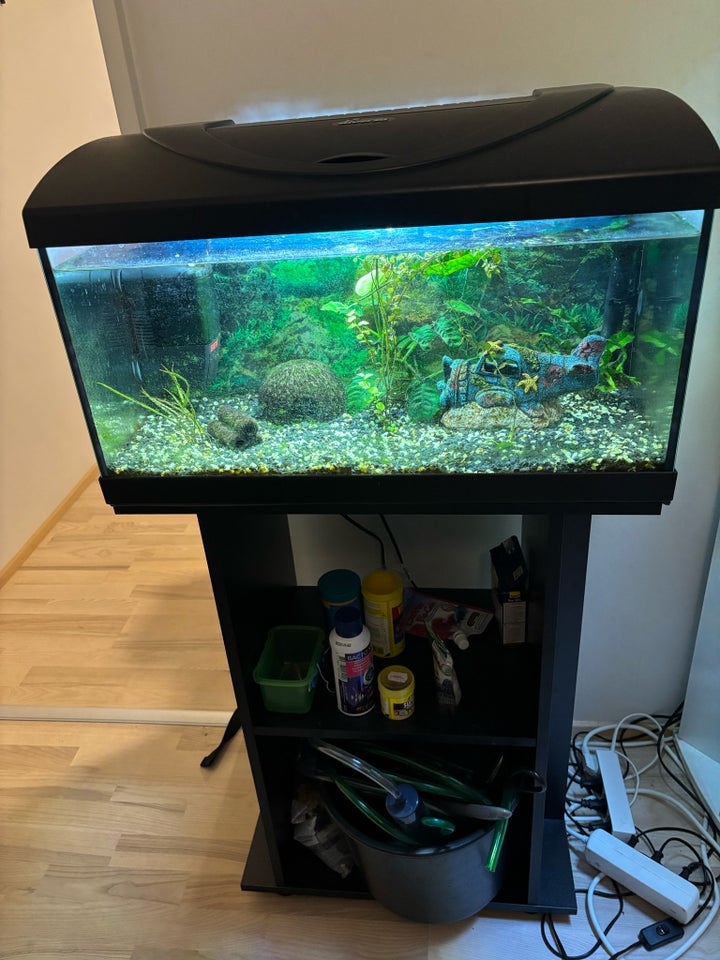 Akvarium, 60 liter