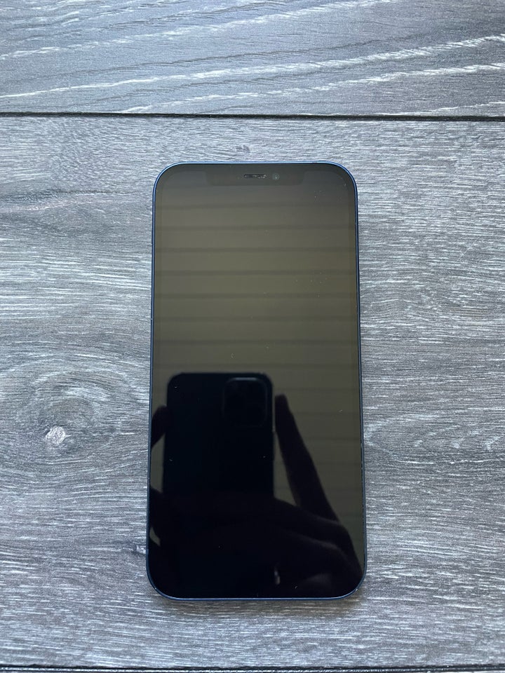 iPhone 12, 256 GB, blå