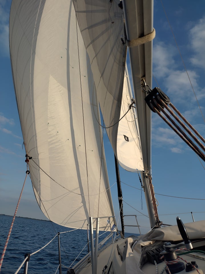 North Sails Code 1 rulle fo