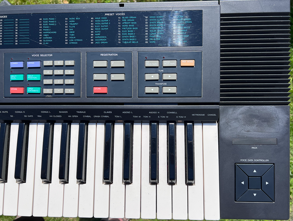 Synthesizer, Yamaha DSR-2000