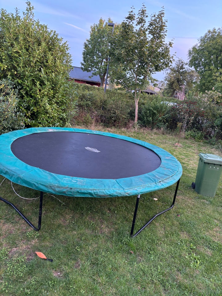 Trampolin, Berg Champion 430