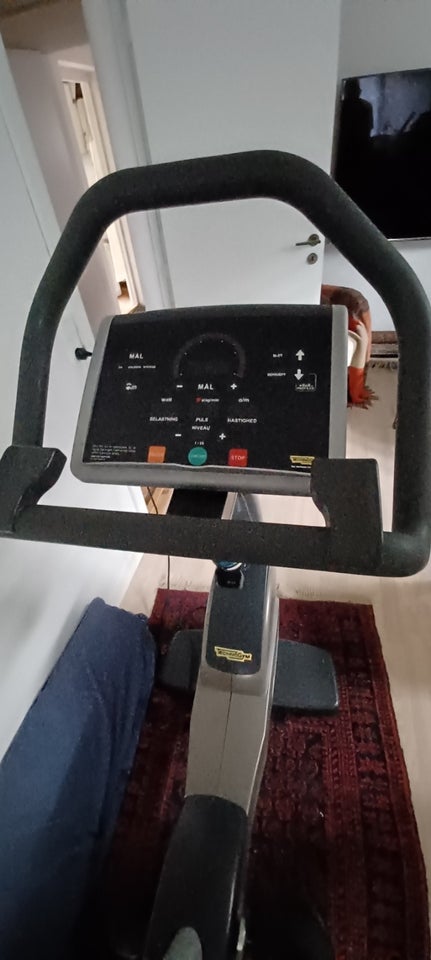 Motionscykel TechnoGym Excite