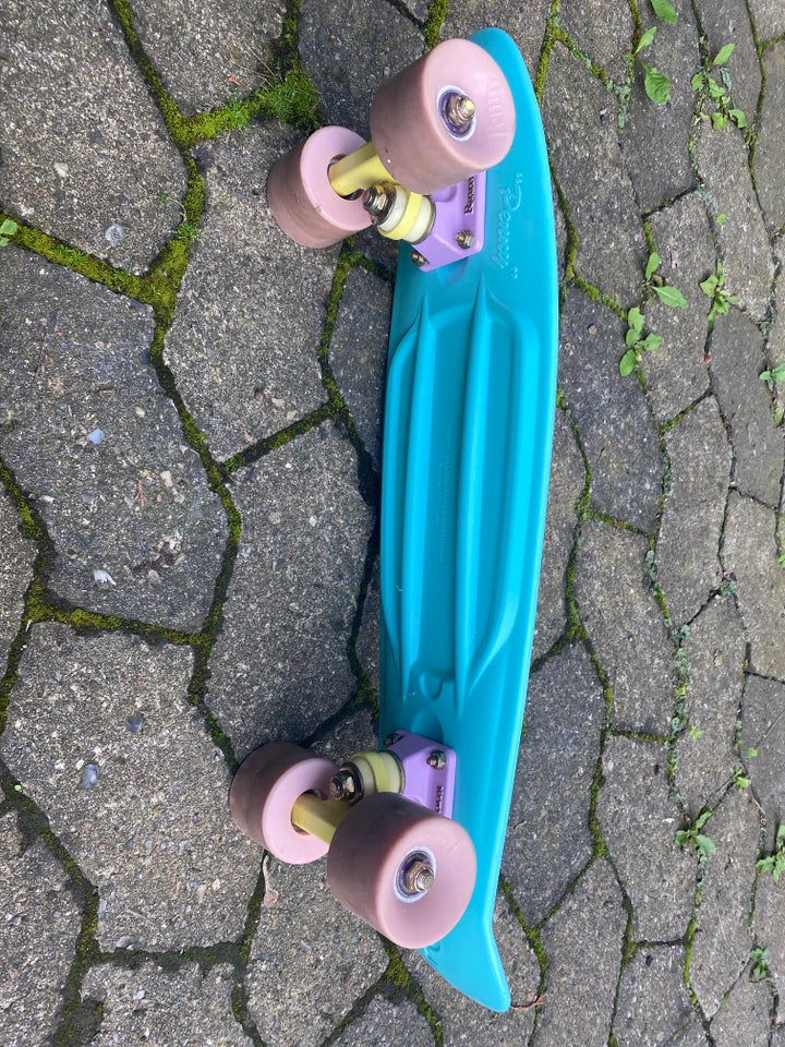 Skateboard Penny board