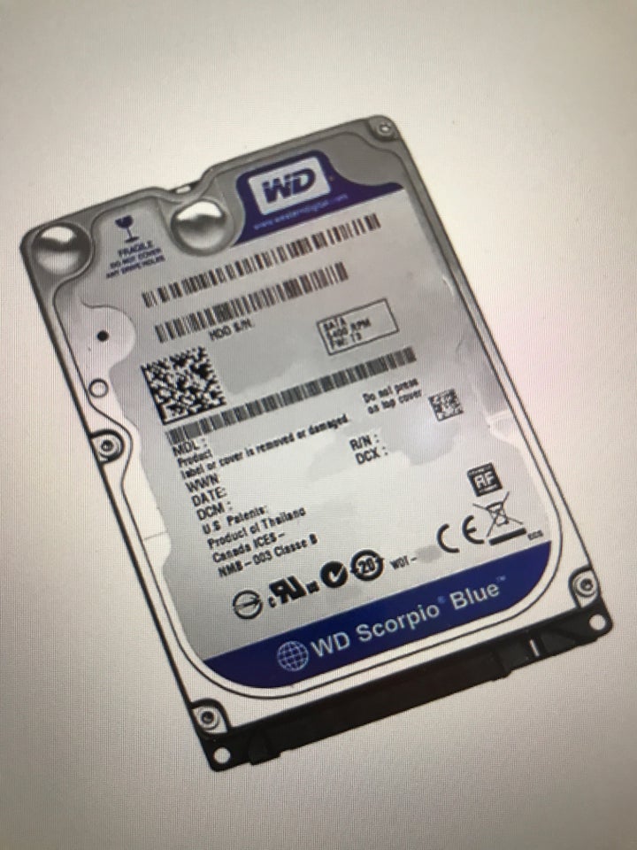 Western Digital Corporation 500