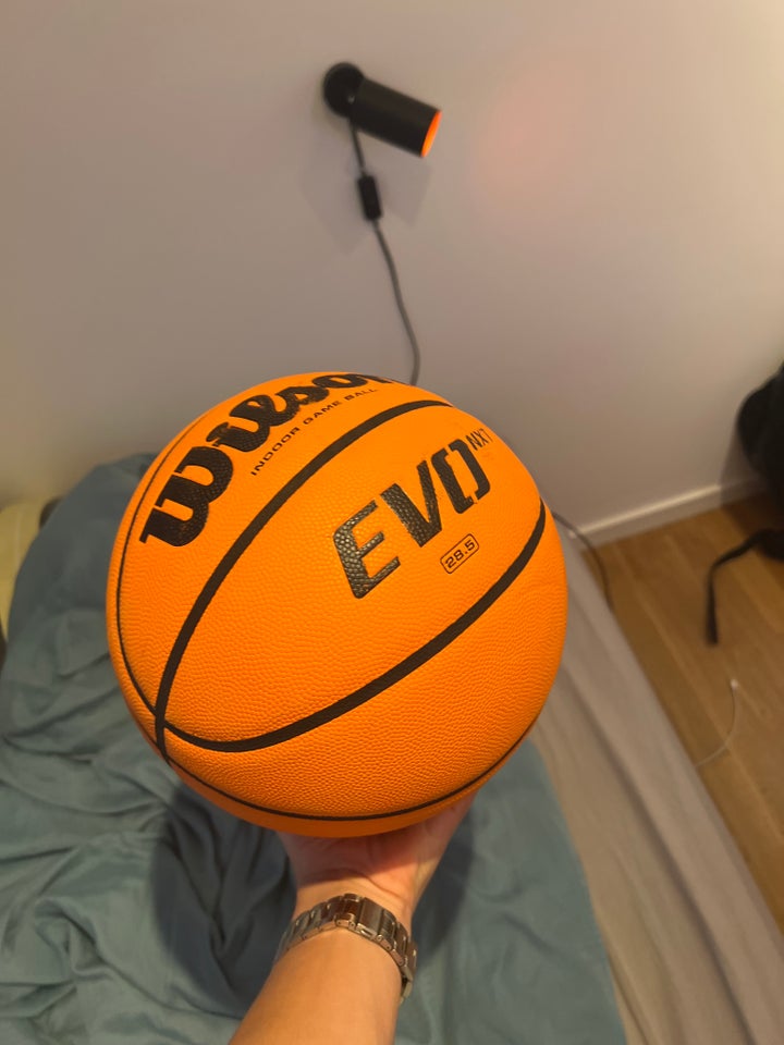 Basketball Wilson