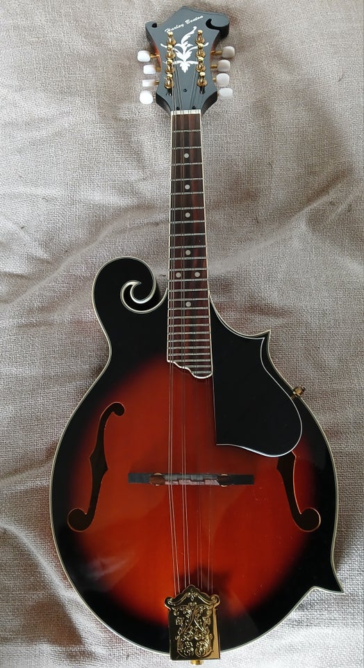 Mandolin, Harley Benton HBMA-100