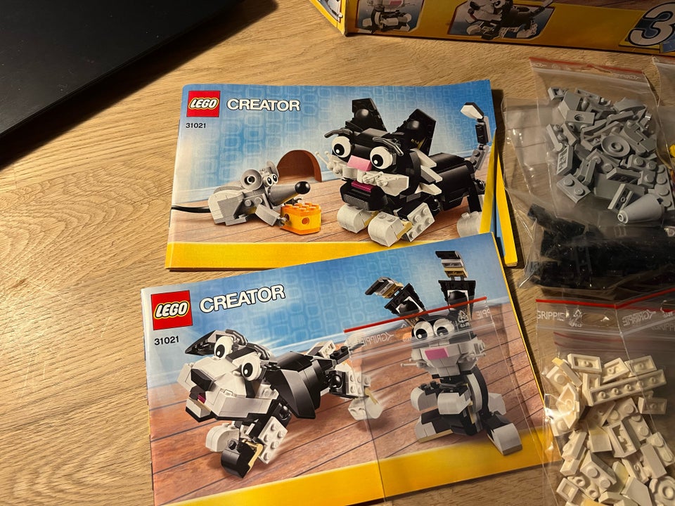 Lego Creator 31021