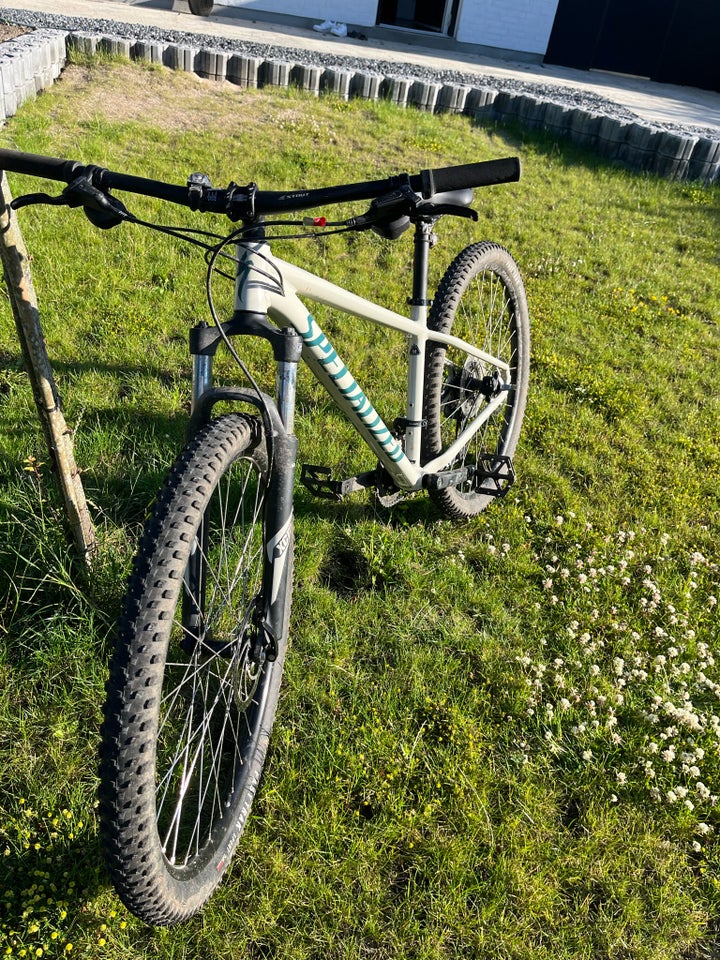 Specialized Rockhopper 