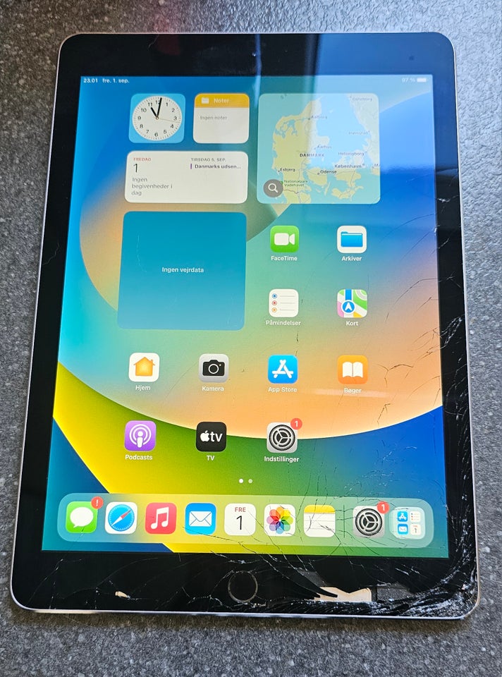 iPad Pro 128 GB sort