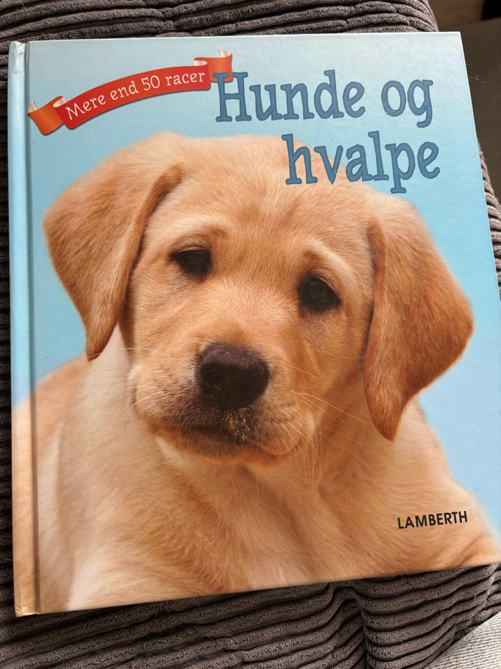 Hunde og hvalpe, Lamberth, emne: