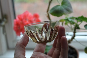 Glas Lotus glasskål ukendt