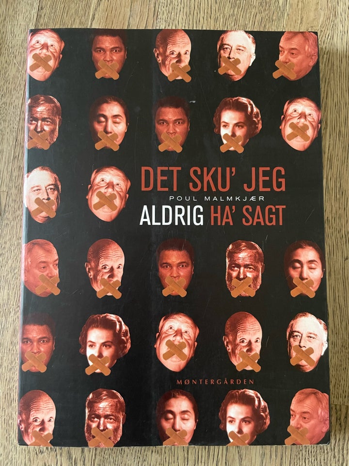 Det sku' jeg aldrig ha' sagt Poul