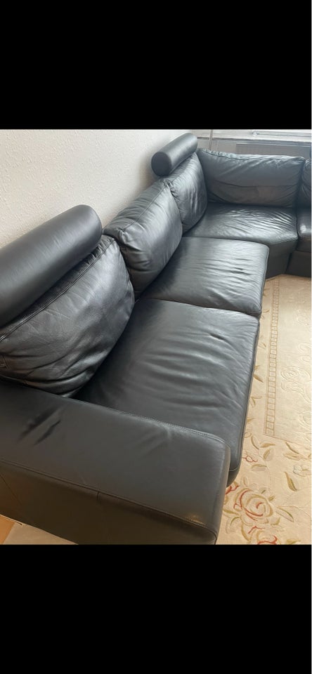 Sofa og Tæppe