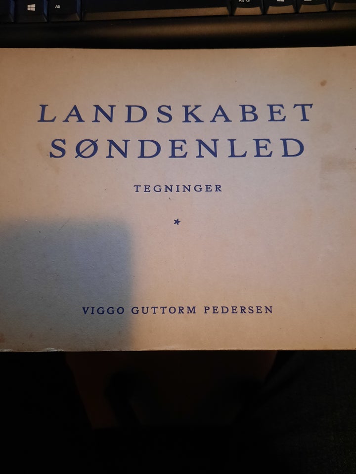 Landskabet Søndenled, Viggo