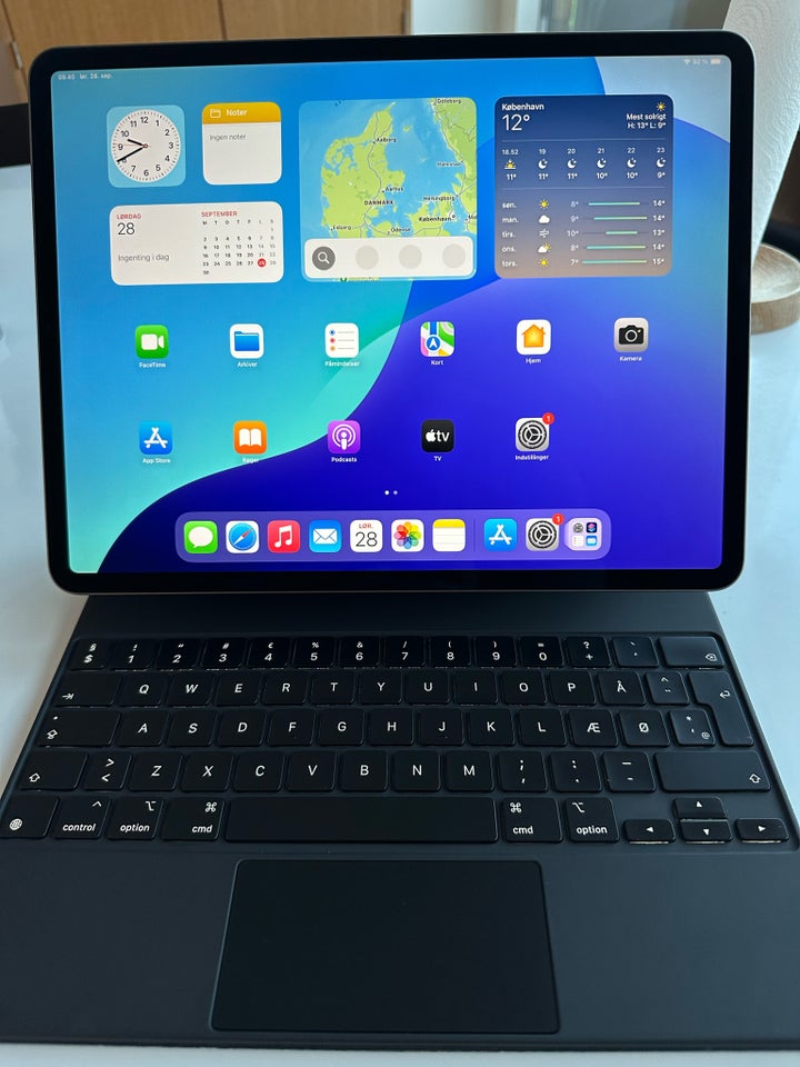 iPad Pro 4, 256 GB, Perfekt