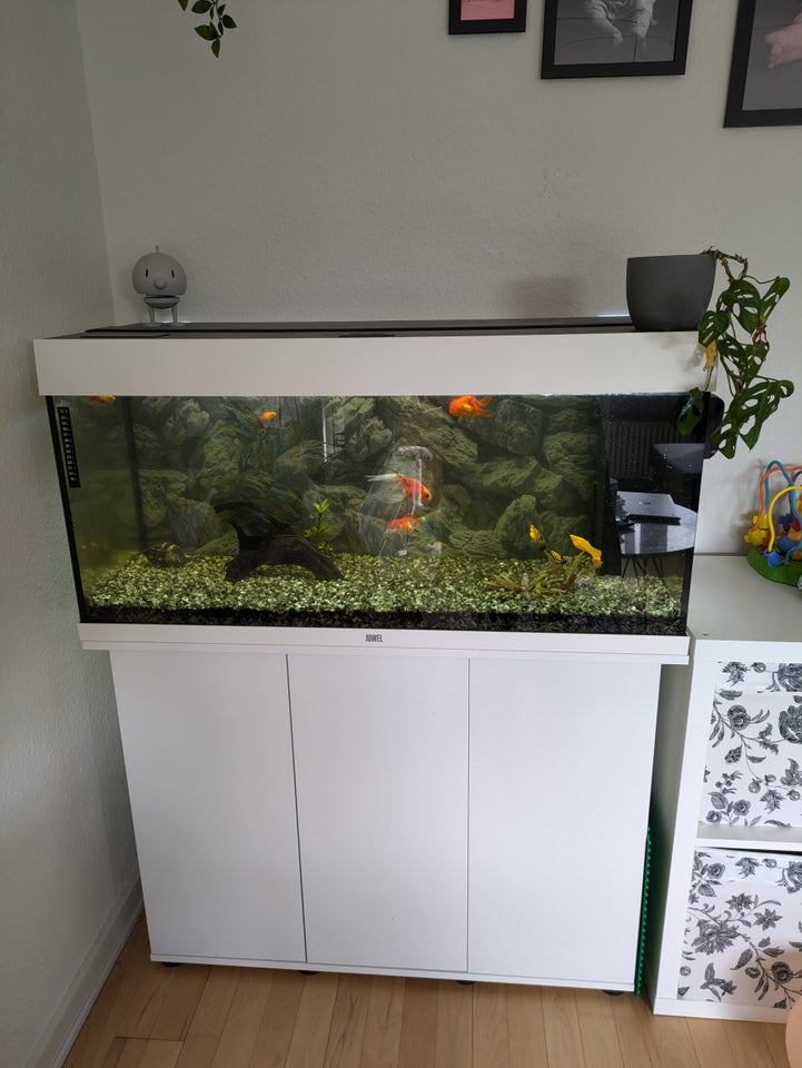 Akvarium, 180 liter