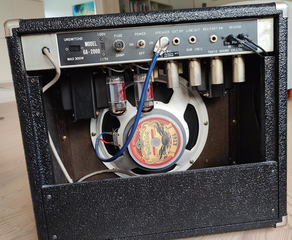 Guitarcombo, Guyatone FLIP