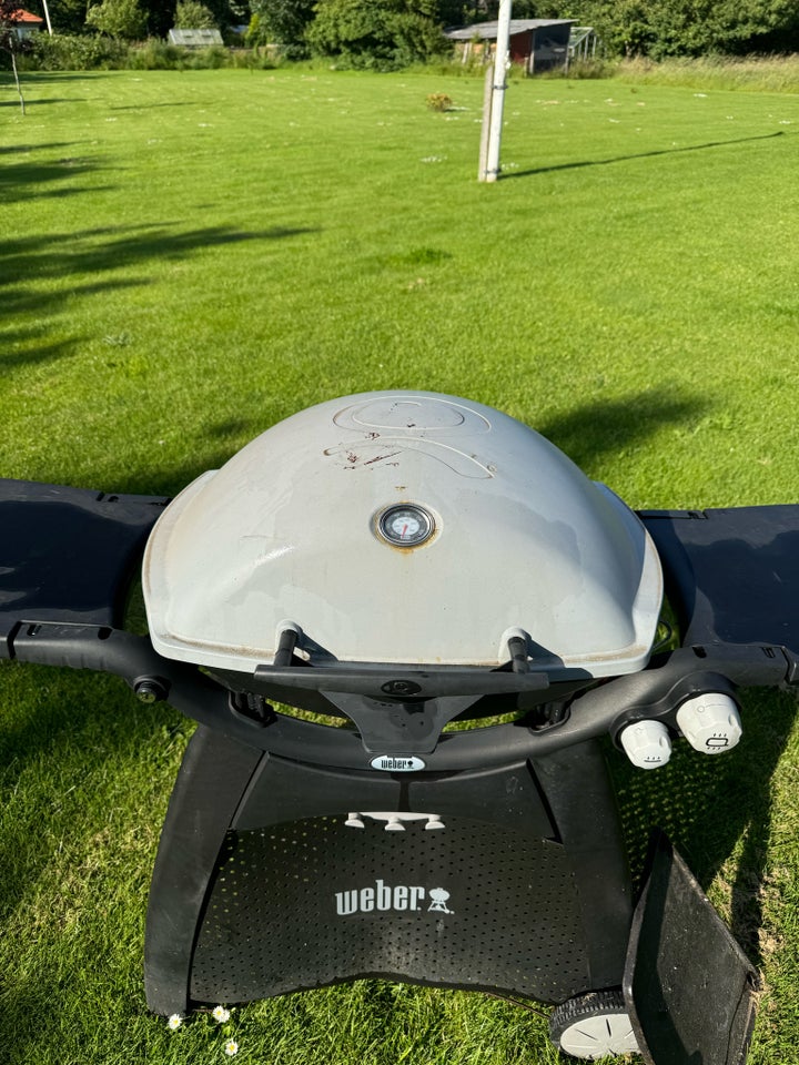 Gasgrill Weber